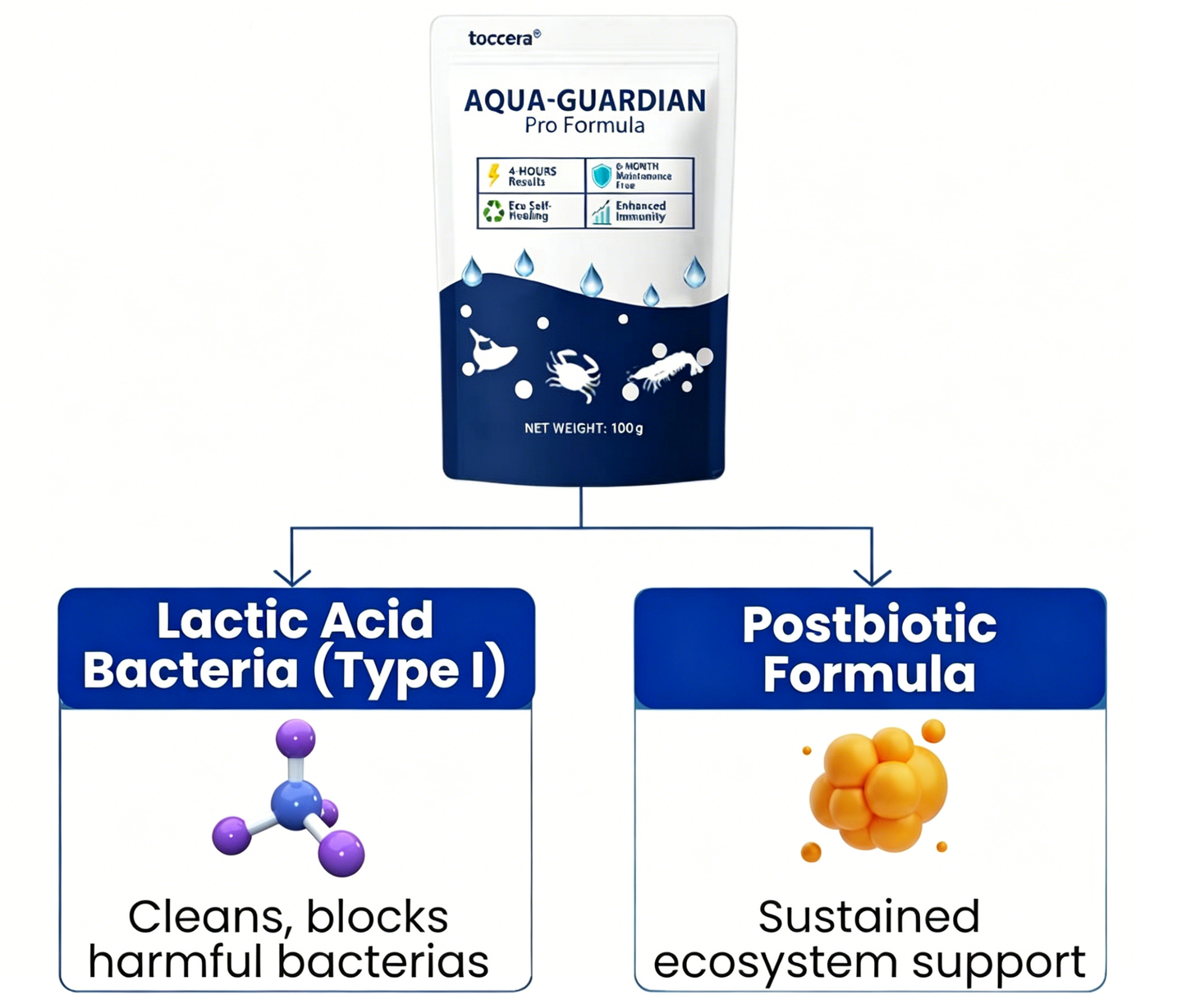 ✨ From Green to Clean Overnight! |⏱️ Crystal Clear in 24 Hours! | toccera® Aqua-Guardian Pro Formula