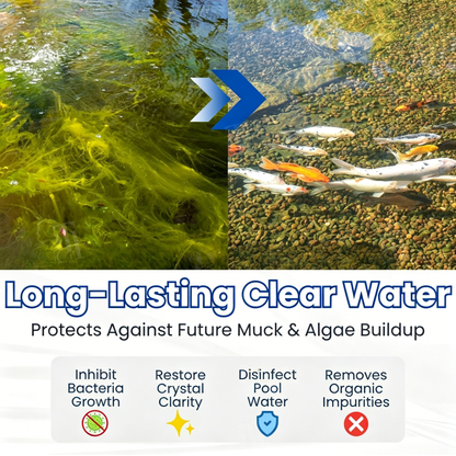 ✨ From Green to Clean Overnight! |⏱️ Crystal Clear in 24 Hours! | toccera® Aqua-Guardian Pro Formula