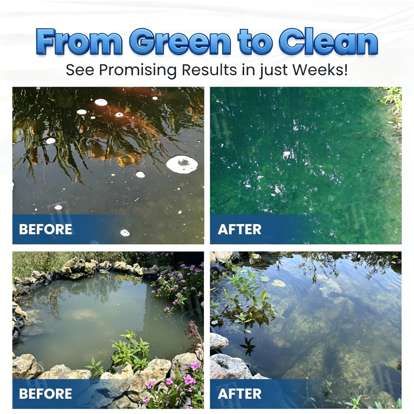 ✨ From Green to Clean Overnight! |⏱️ Crystal Clear in 24 Hours! | toccera® Aqua-Guardian Pro Formula